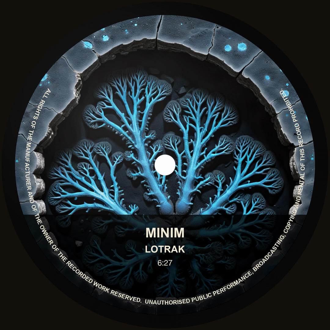 A square image of a vinyl record on a dark charcoal background. The black vinyl disc fills most of the frame, with concentric grooves visible across its surface and a small white spindle hole at the centre. The label is circular and dominates the inner portion of the disc; it shows a deep blue-black artwork of branching, coral-like organic forms radiating outward from the centre, set against a cracked stone-grey rim that frames the design like a broken portal. In the lower half of the label, a translucent white panel sits across the artwork, holding three lines of black text: "MINIM" in bold sans-serif at the top, "LOTRAK" in slightly smaller bold sans-serif beneath it, and "6:27" in tiny sans-serif at the bottom. Curved fine-print copyright text — "ALL RIGHTS OF THE MANUFACTURER... UNAUTHORISED PUBLIC PERFORMANCE..." — wraps around the lower two-thirds of the label rim. There are no waveform bars; the image is a still presentation of the record itself.